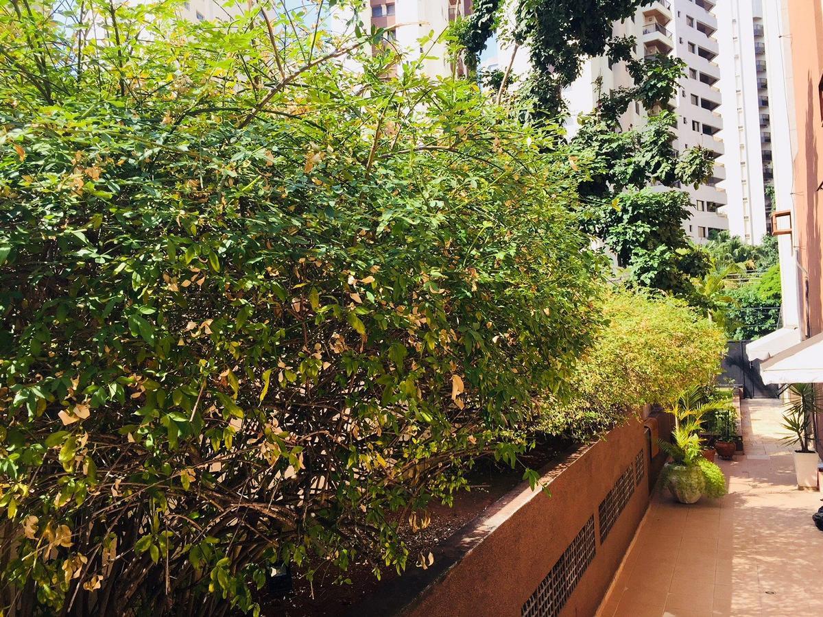 Duplex Moema Ao Lado Do Parque Apartment Сао Паоло Екстериор снимка